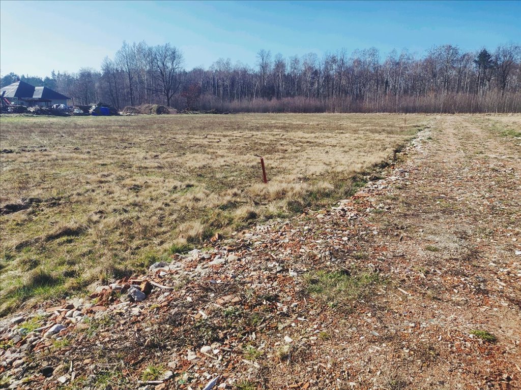 Działka budowlana na sprzedaż Grodzisk Mazowiecki  1 875m2 Foto 2