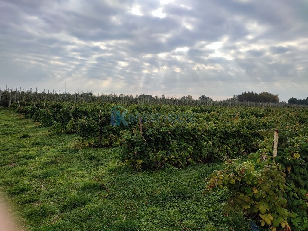 Działka siedliskowa na sprzedaż Czersk  8 400m2 Foto 3