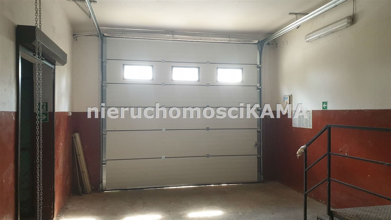 Magazyn 481 m2 z zapleczem biurowym i ogrodzonym terenem Buczkowice  481m2 Foto 1