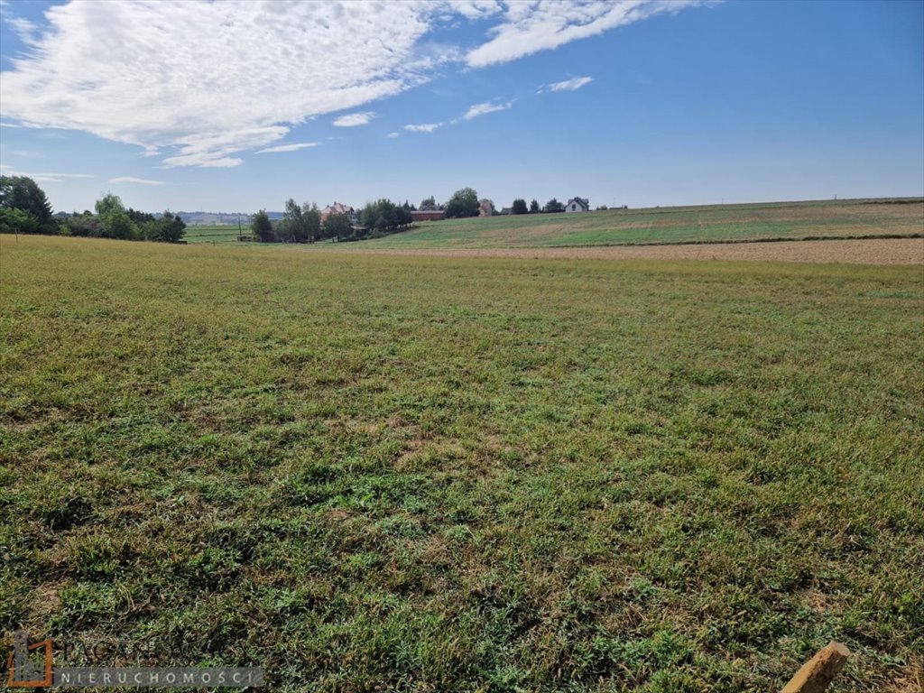 Działka budowlana na sprzedaż Sieciechowice  1 000m2 Foto 1