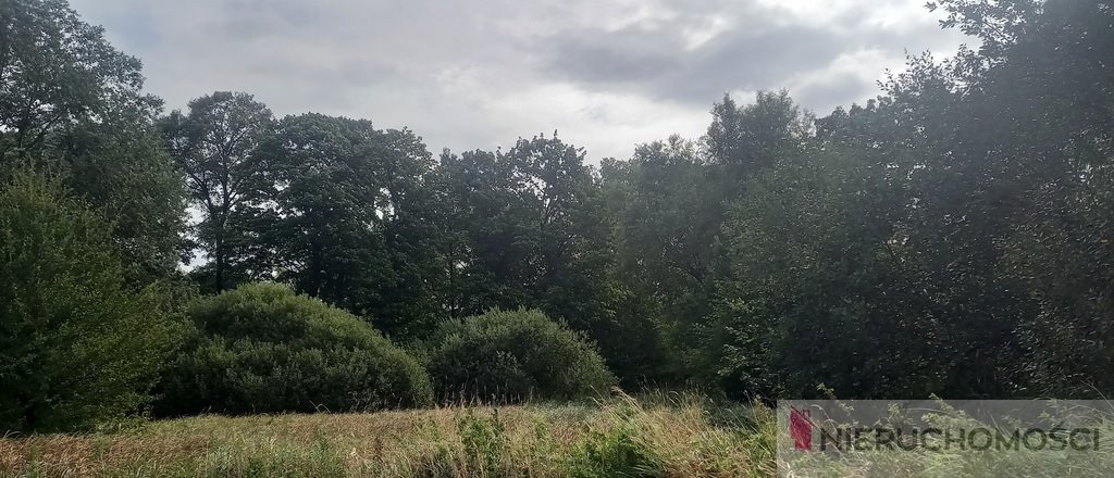 Działka budowlana na sprzedaż Tuszyn  6 723m2 Foto 2