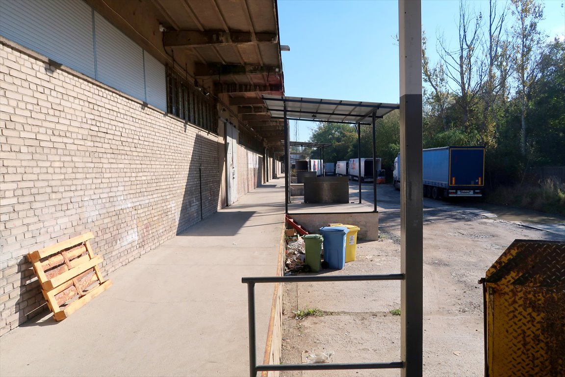 Magazyn na sprzedaż Legnica  5 050m2 Foto 2