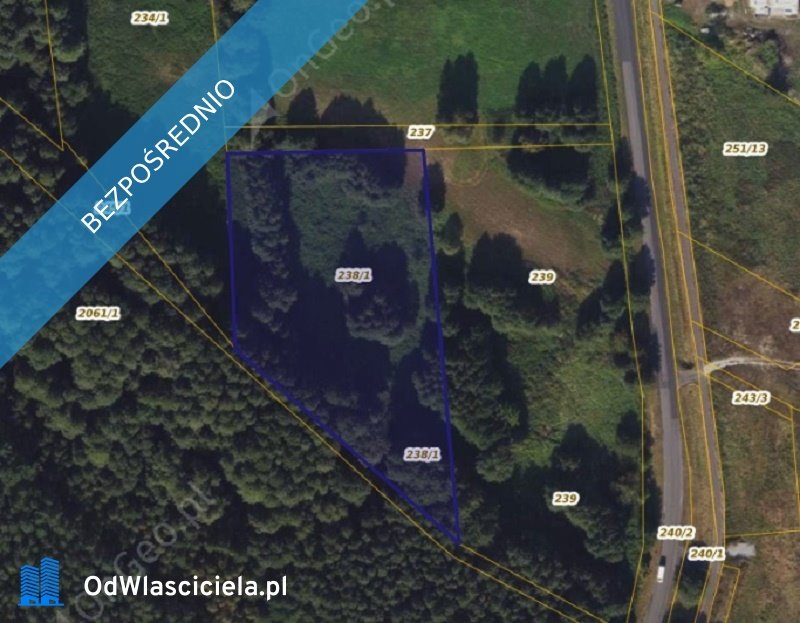 Działka rolna na sprzedaż Wielka Nieszawka  7 500m2 Foto 1