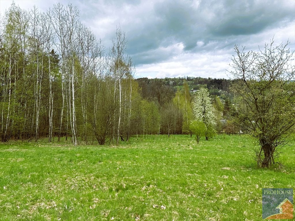 Działka inna na sprzedaż Lipowe  20 300m2 Foto 7