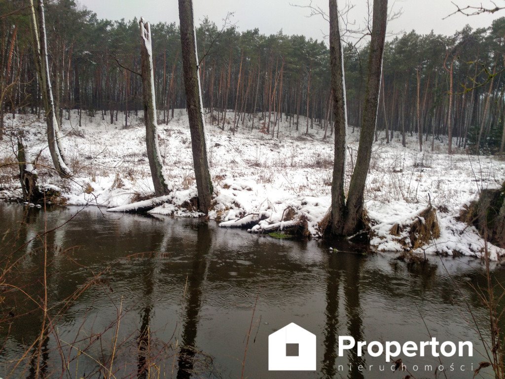 Działka rekreacyjna na sprzedaż Cieśle  3 000m2 Foto 4