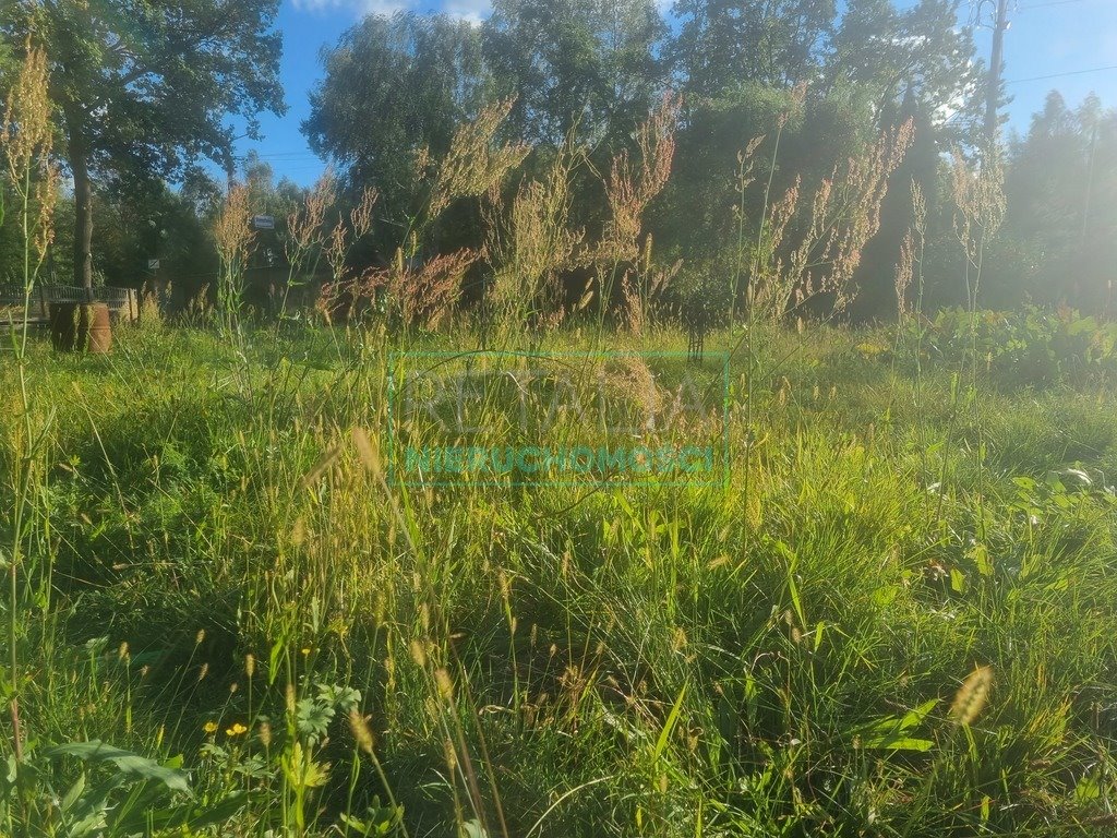 Piękna działka 3177 m² z mediami i lasem w Ojrzanowie Ojrzanów  3 177m2 Foto 1