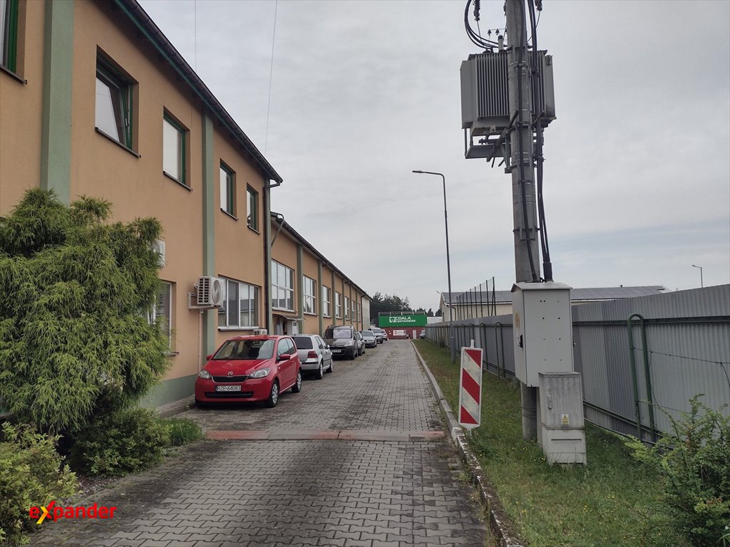 Zdjęcie 7