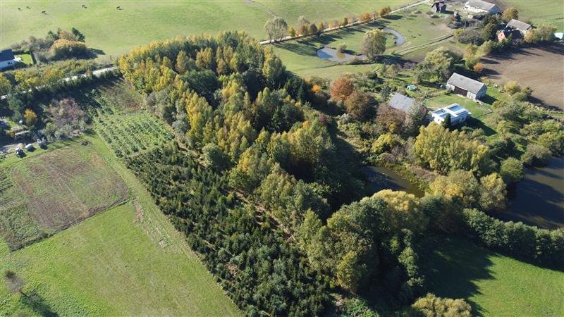 Działka inna na sprzedaż Trąbki Małe, Makowa  11 000m2 Foto 3