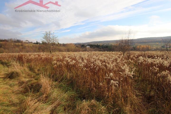 Działka rolna na sprzedaż Kopytowa  8 000m2 Foto 2