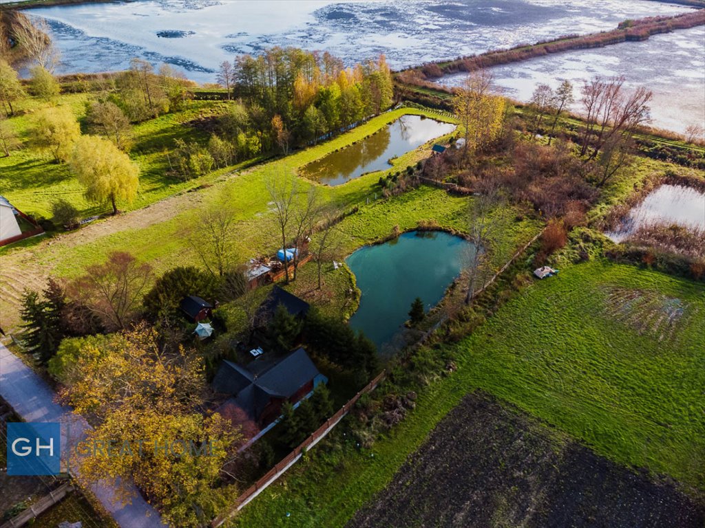 Działka rolna na sprzedaż Sobieszyn  5 000m2 Foto 10