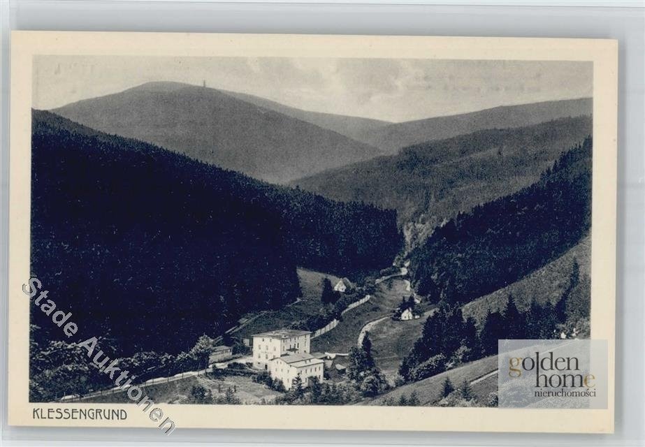 Działka inwestycyjna na sprzedaż Kletno, Śnieżnik Jaskinia Niedźwiedzia  19 400m2 Foto 3