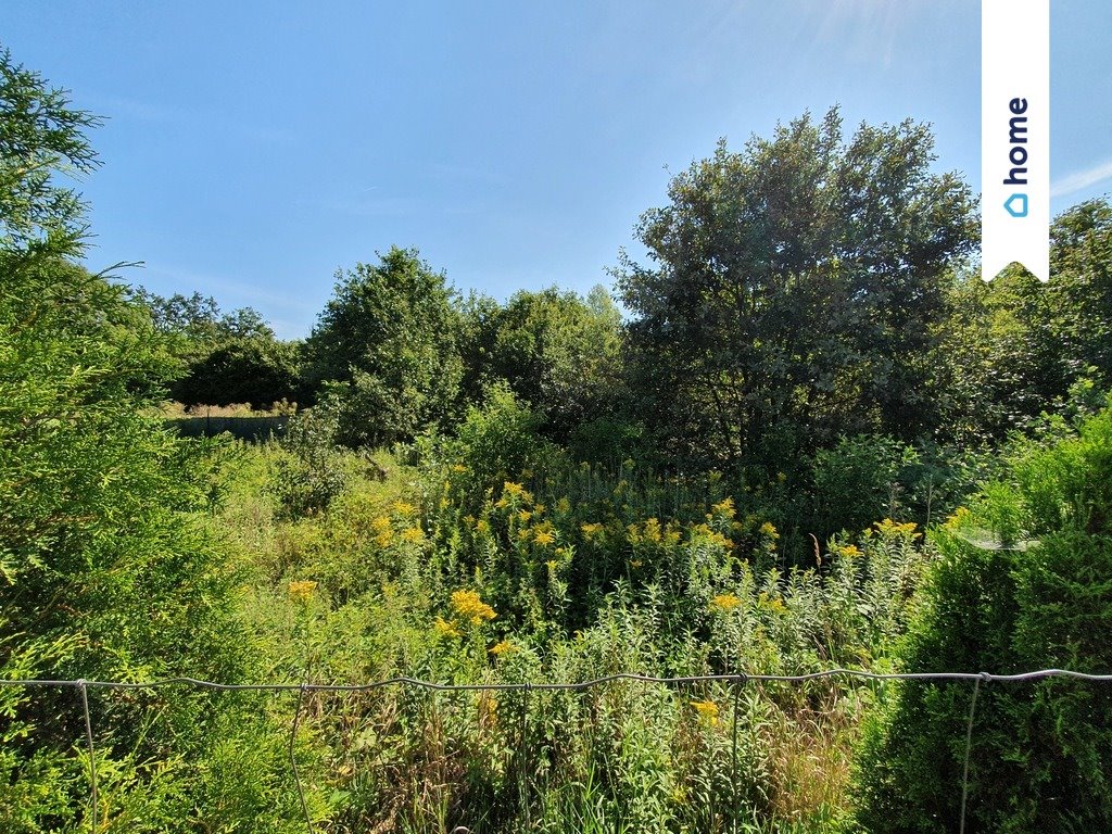 Działka budowlana na sprzedaż Mokry Dwór, Stefana Batorego  1 555m2 Foto 3