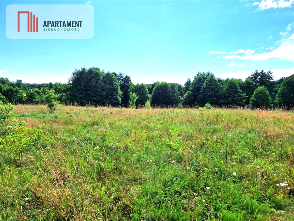 Działka budowlana na sprzedaż Śliwiczki  3 100m2 Foto 2