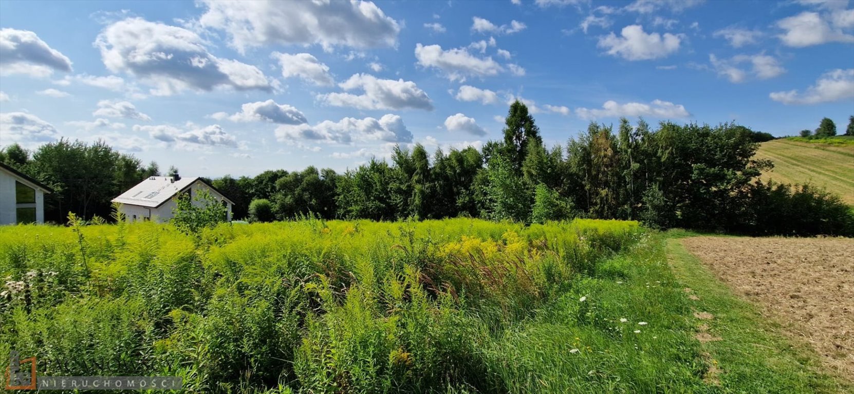 Działka budowlana na sprzedaż Wierzchowie  2 996m2 Foto 5