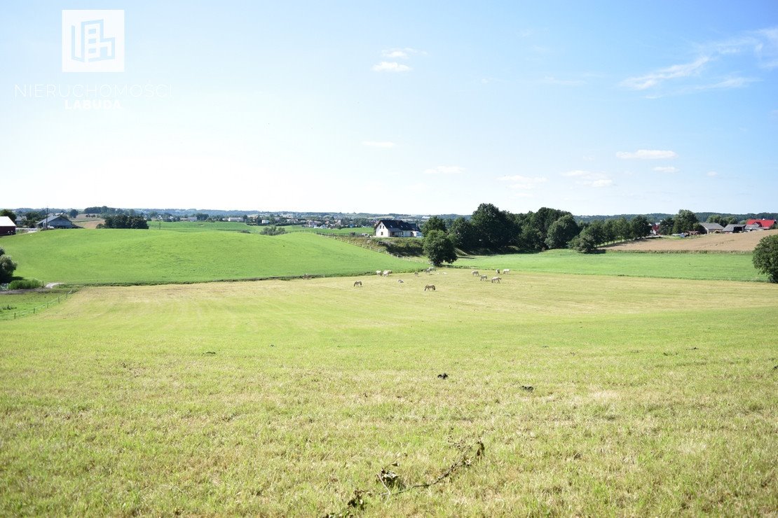 Działka budowlana na sprzedaż Łapalice, Zamkowa  3 074m2 Foto 11