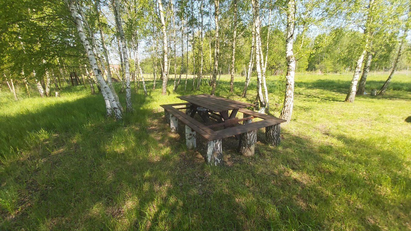 Działka budowlana na sprzedaż Radonie  3 000m2 Foto 8