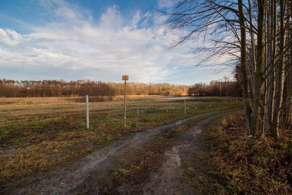 Działka budowlana na sprzedaż Żary, Bociania  1 100m2 Foto 14