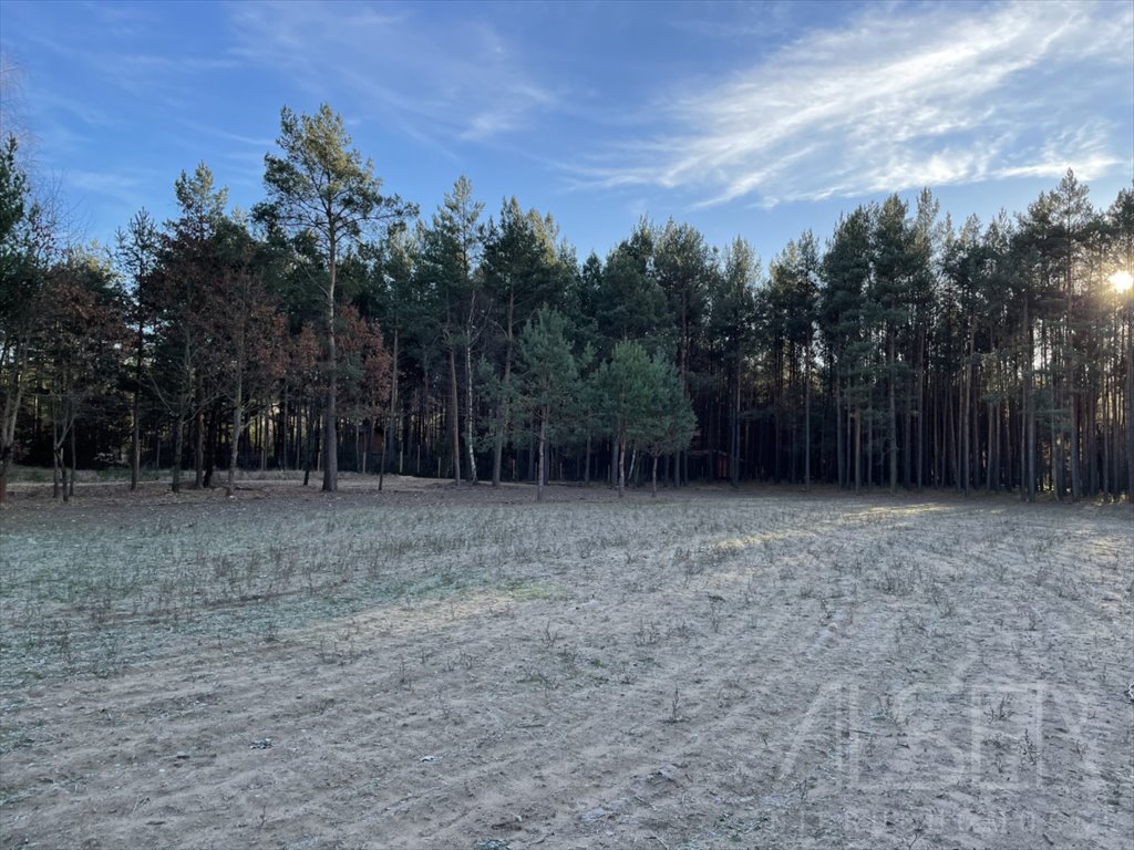 Działka budowlana na sprzedaż Prabuty  7 770m2 Foto 4