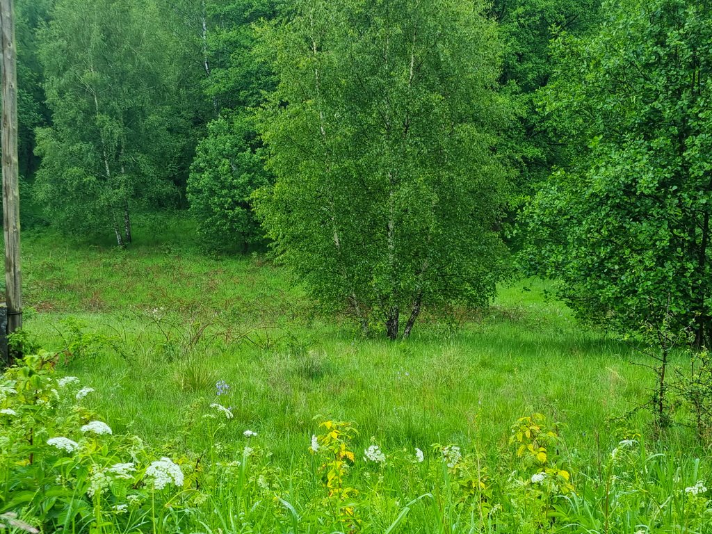 Działka inna na sprzedaż Niemojów  22 900m2 Foto 14