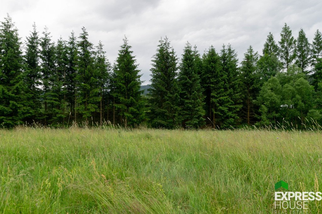 Działka budowlana na sprzedaż Stronie Śląskie  4 069m2 Foto 5