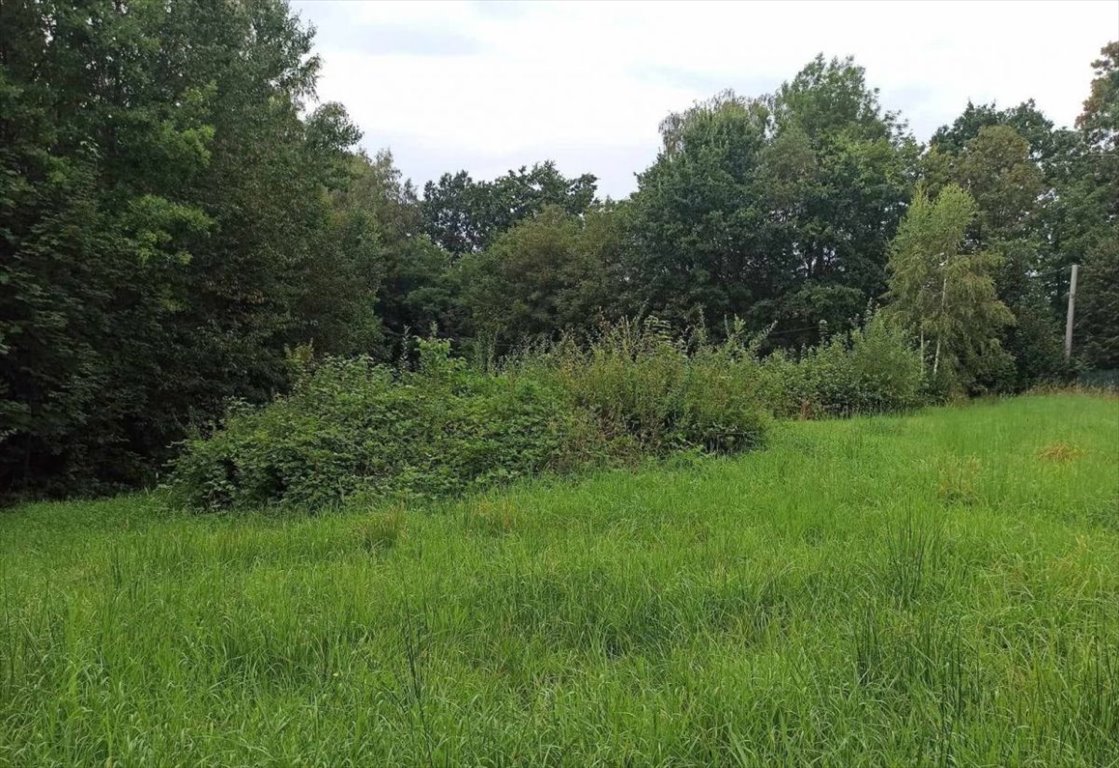 Działka budowlana na sprzedaż Milówka  1 300m2 Foto 3