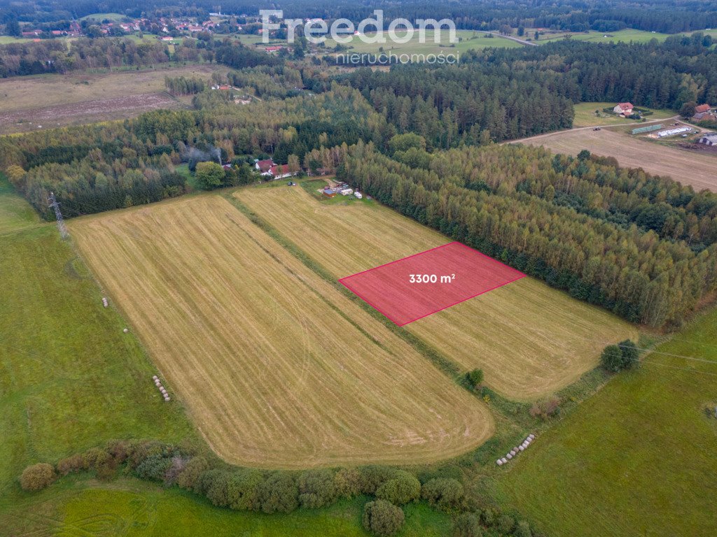 Działka rolna na sprzedaż Wrzesina  3 300m2 Foto 1