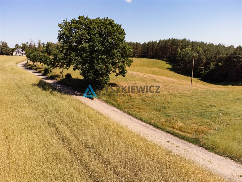 Działka siedliskowa na sprzedaż Milwino, Rolnicza  3 111m2 Foto 4