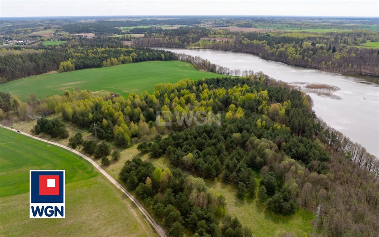 Działka inwestycyjna na sprzedaż Głodowo, Głodowo  25 300m2 Foto 4