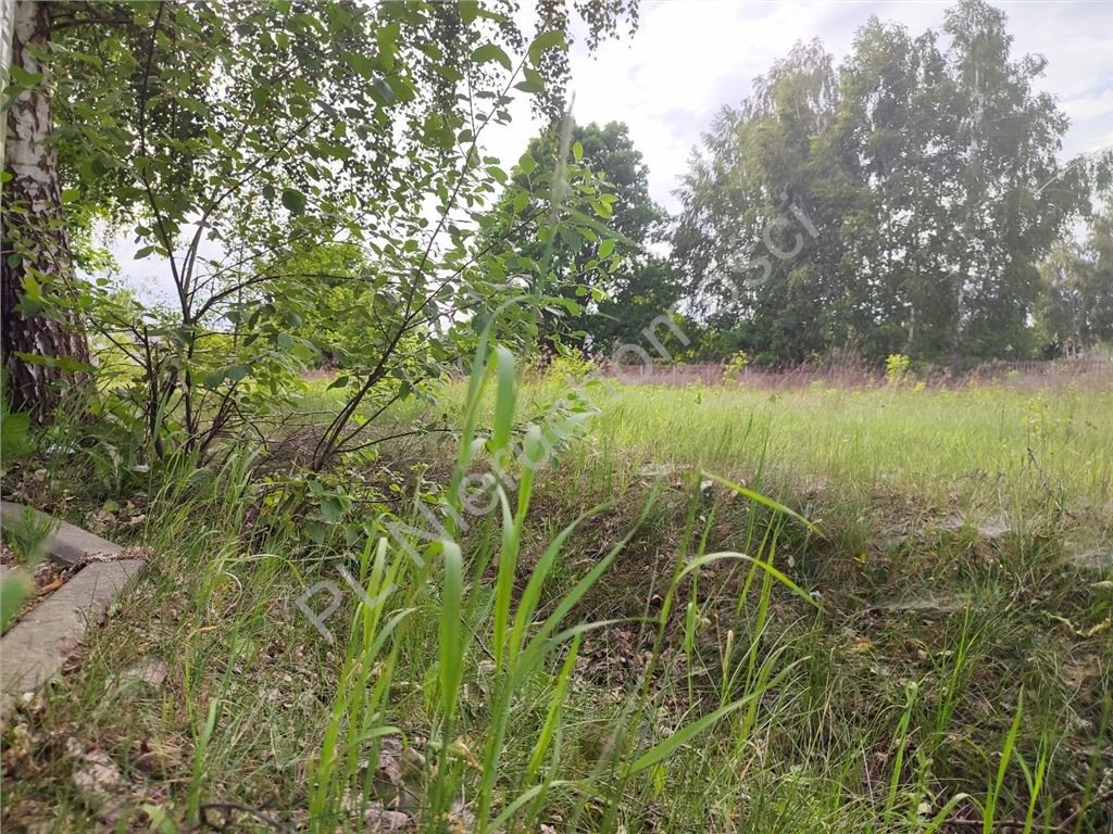 Działka budowlana na sprzedaż Strzeniówka  5 400m2 Foto 4