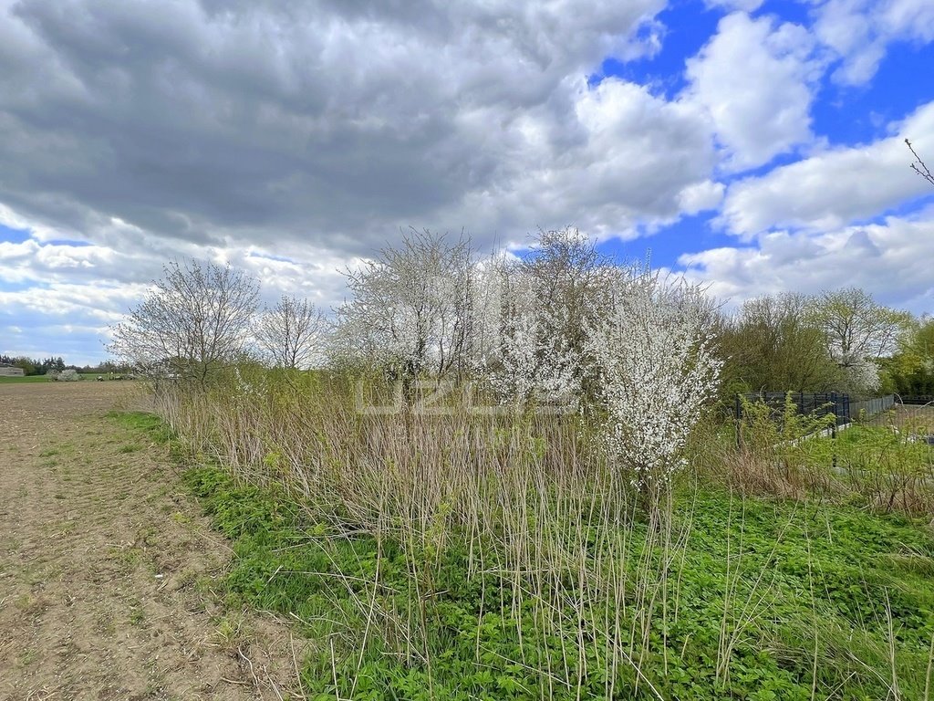 Działka budowlana na sprzedaż Wolny Dwór  1 439m2 Foto 14