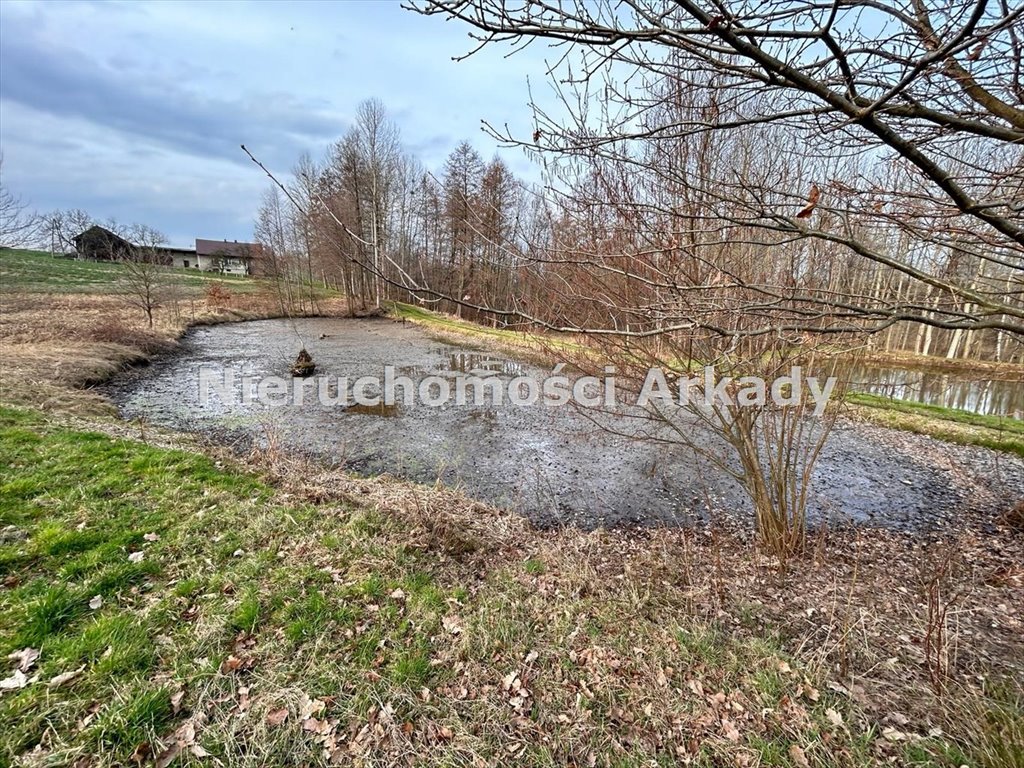 Działka inna na sprzedaż Zebrzydowice Górne, Groblowa  9 156m2 Foto 17