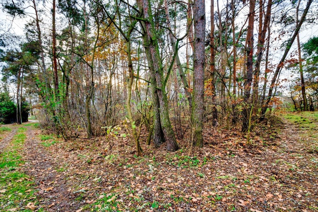 Działka budowlana na sprzedaż Czosnów, Warszawska  2 066m2 Foto 14