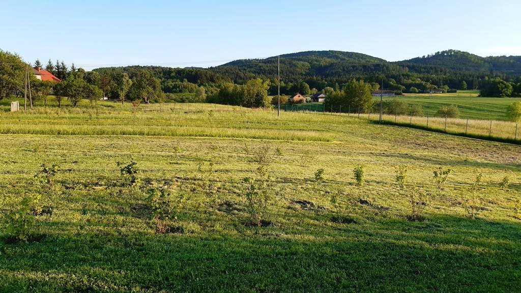 Działka budowlana na sprzedaż Markuszowa  30 000m2 Foto 1