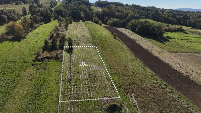 Działka rolna na sprzedaż Rzeszów, Wierchowa  2 800m2 Foto 2