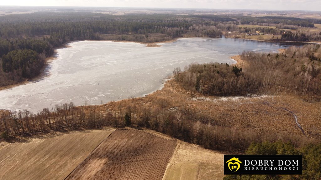 Działka rolna na sprzedaż Stara Kamionka  3 000m2 Foto 16