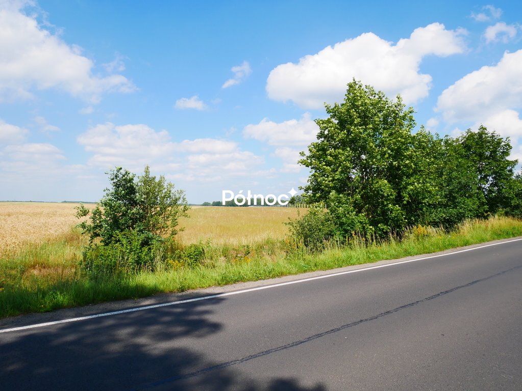 Działka rolna 10 500 m² przy drodze asfaltowej w Zebrzydowej Zebrzydowa  10 500m2 Foto 1