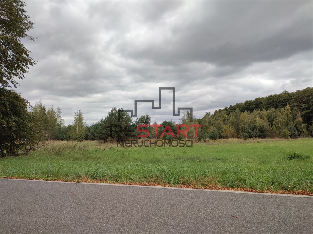 Działka budowlana na sprzedaż Kuklówka Radziejowicka  5 200m2 Foto 1