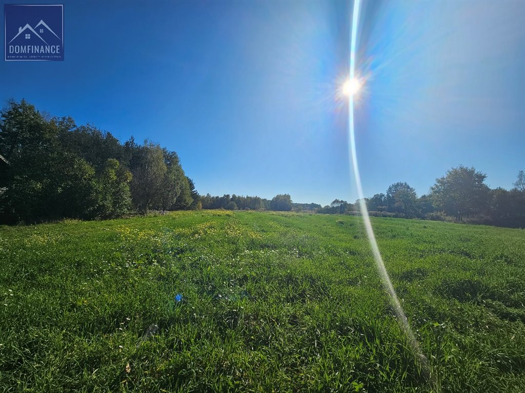 Działka inna na sprzedaż Dąbrowa Tarnowska  29 500m2 Foto 20