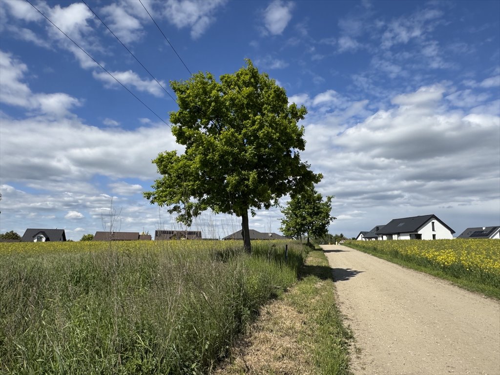 Działka rolna 41 248 m² z mediami i dojazdem asfaltowym - zapraszam Gorzów Wielkopolski, Wawrów, Sadowa  41 248m2 Foto 1