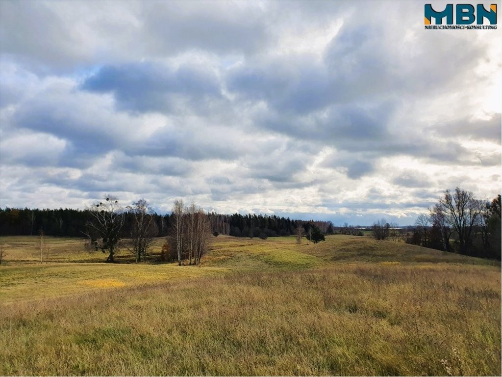 Działka rolna na sprzedaż Tuchlin, Tuchlin  65 579m2 Foto 14