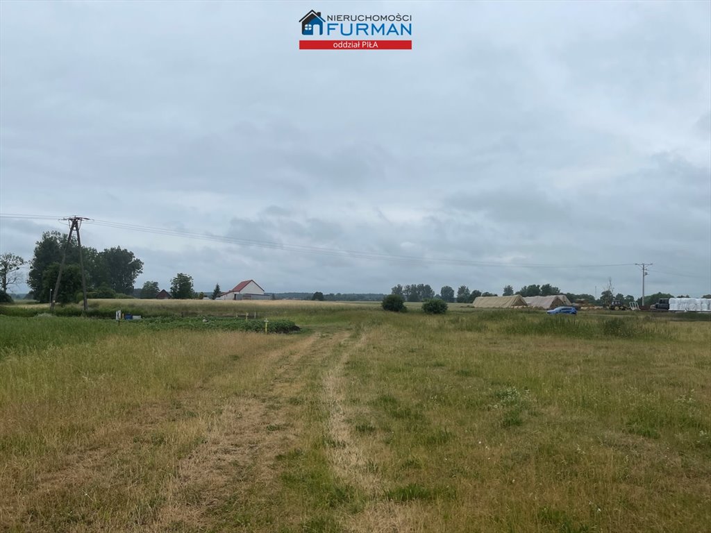 Działka rolna na sprzedaż Stobno  4 943m2 Foto 7