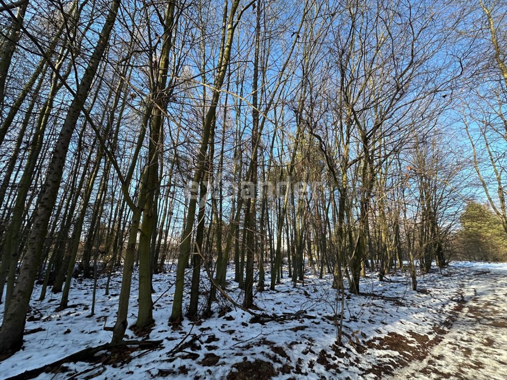 Działka budowlana na sprzedaż Częstochowa  10 685m2 Foto 2