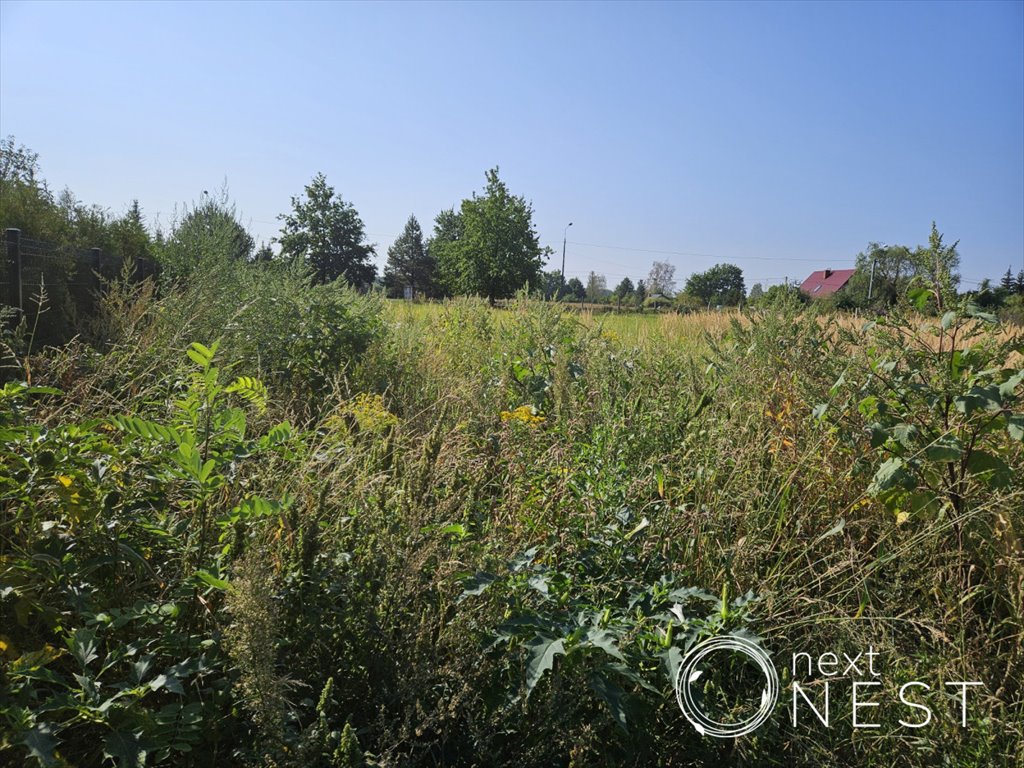 Działka budowlana na sprzedaż Dobiesz  1 000m2 Foto 5