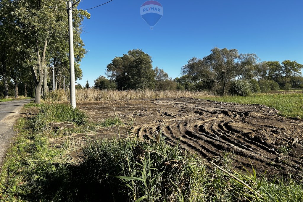 Działka rolna na sprzedaż Witków  4 200m2 Foto 15