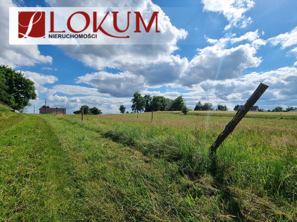 Działka budowlana na sprzedaż Czerniki  1 131m2 Foto 1