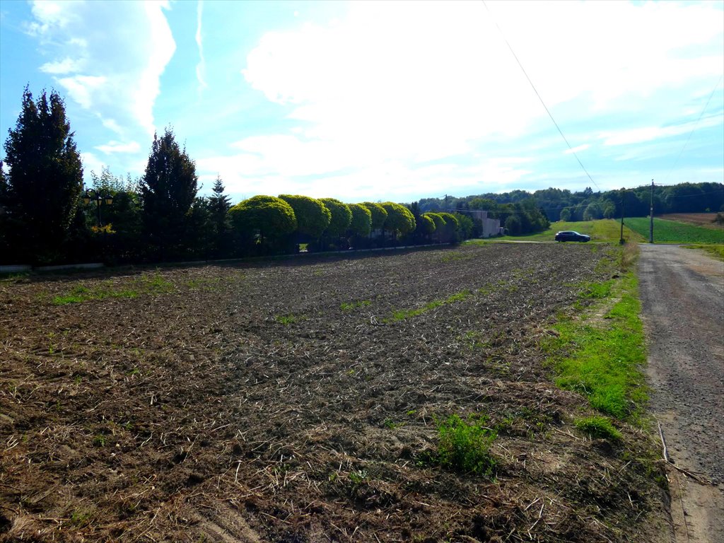 Działka budowlana na sprzedaż Tarnowskie Góry, Bobrowniki Śląskie, Krucza  2 053m2 Foto 4