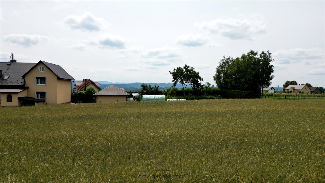 Działka budowlana na sprzedaż Czchów, Złota, Złota  2 848m2 Foto 3