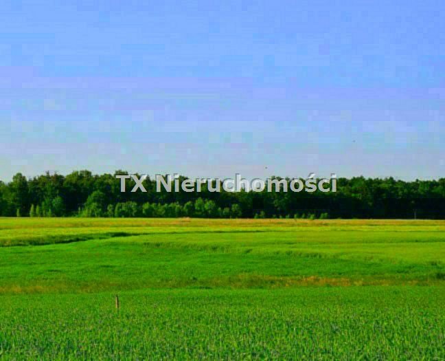Działka inna na sprzedaż Gliwice, Brzezinka 1 200m2 Foto 1 Działka inna na sprzedaż Gliwice, Brzezinka 1 200m2 Foto 1