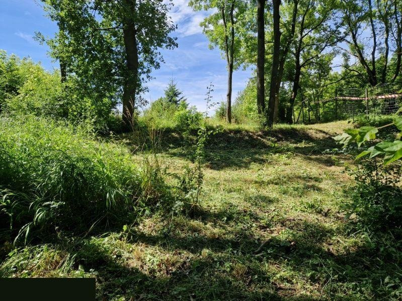 Działka budowlana na sprzedaż Kurów, Na Klifie  1 650m2 Foto 3