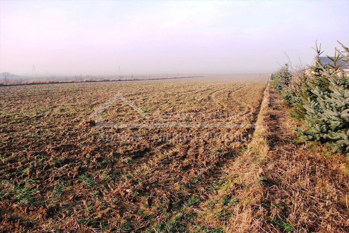 Działka budowlana na sprzedaż Dziuchów, Dziuchów  1 355m2 Foto 11